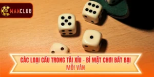 Các Loại Cầu Trong Tài Xỉu - Bí Mật Chơi Bất Bại Mỗi Ván